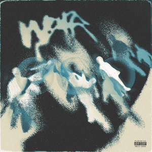 毛片在线播放网站
