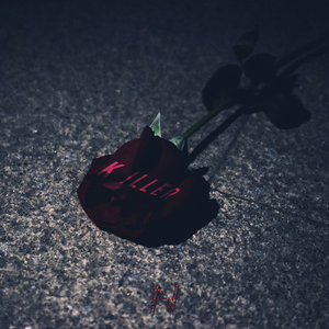 毛片在线播放网站
