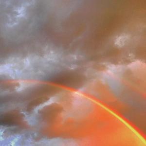 毛片在线播放网站
