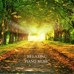 毛片在线播放网站
