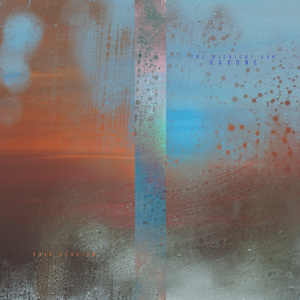 毛片在线播放网站
