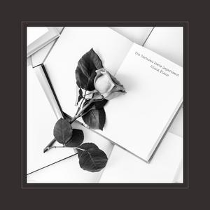 毛片在线播放网站
