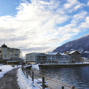 毛片在线播放网站
