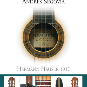 毛片在线播放网站
